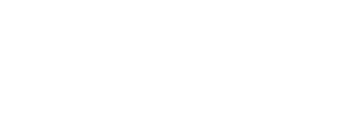 Hixny Logo