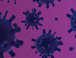 Purple virus shapes
